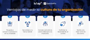 medir-cultura-organizacional