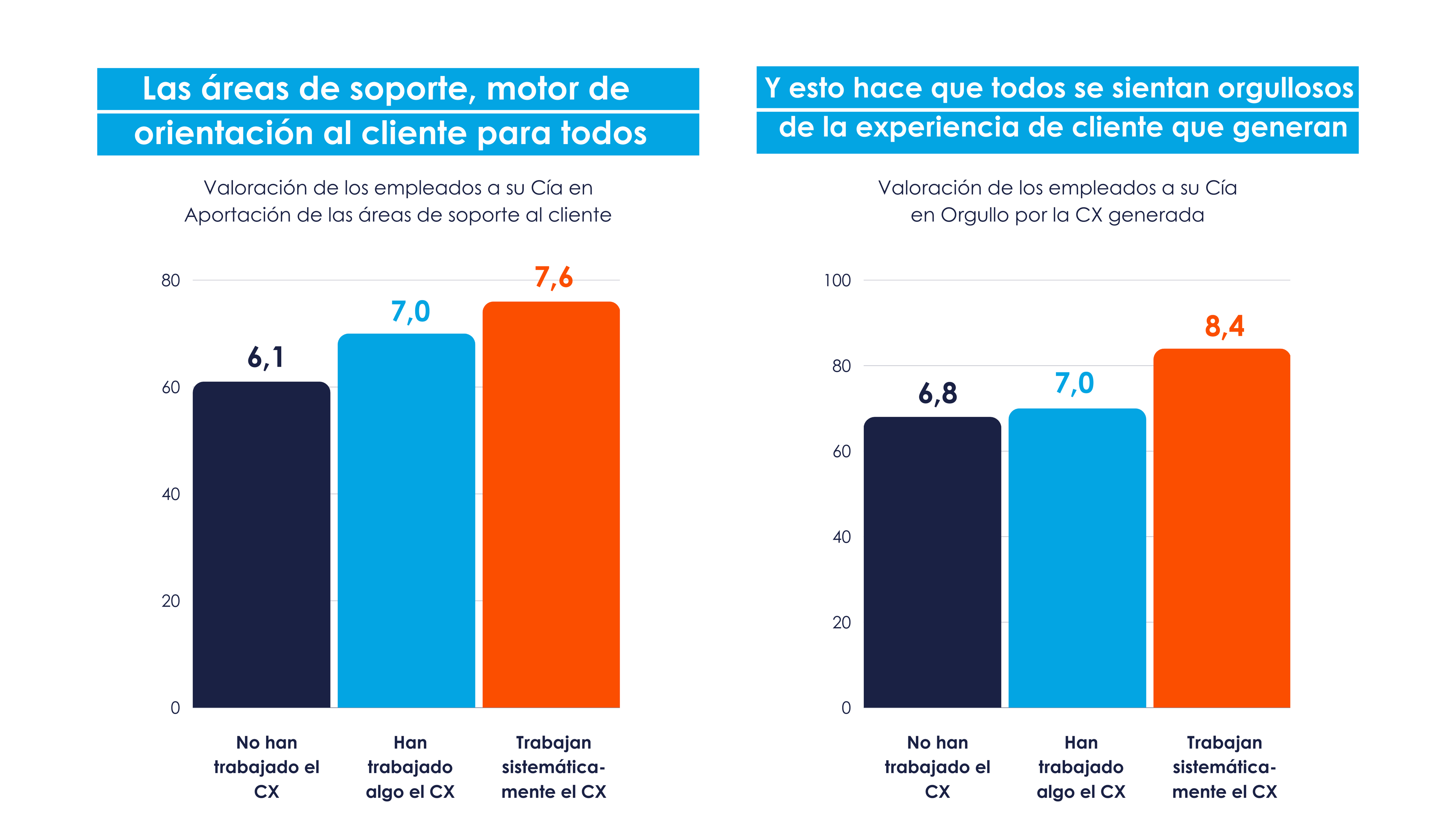 orientacion-cliente-areas