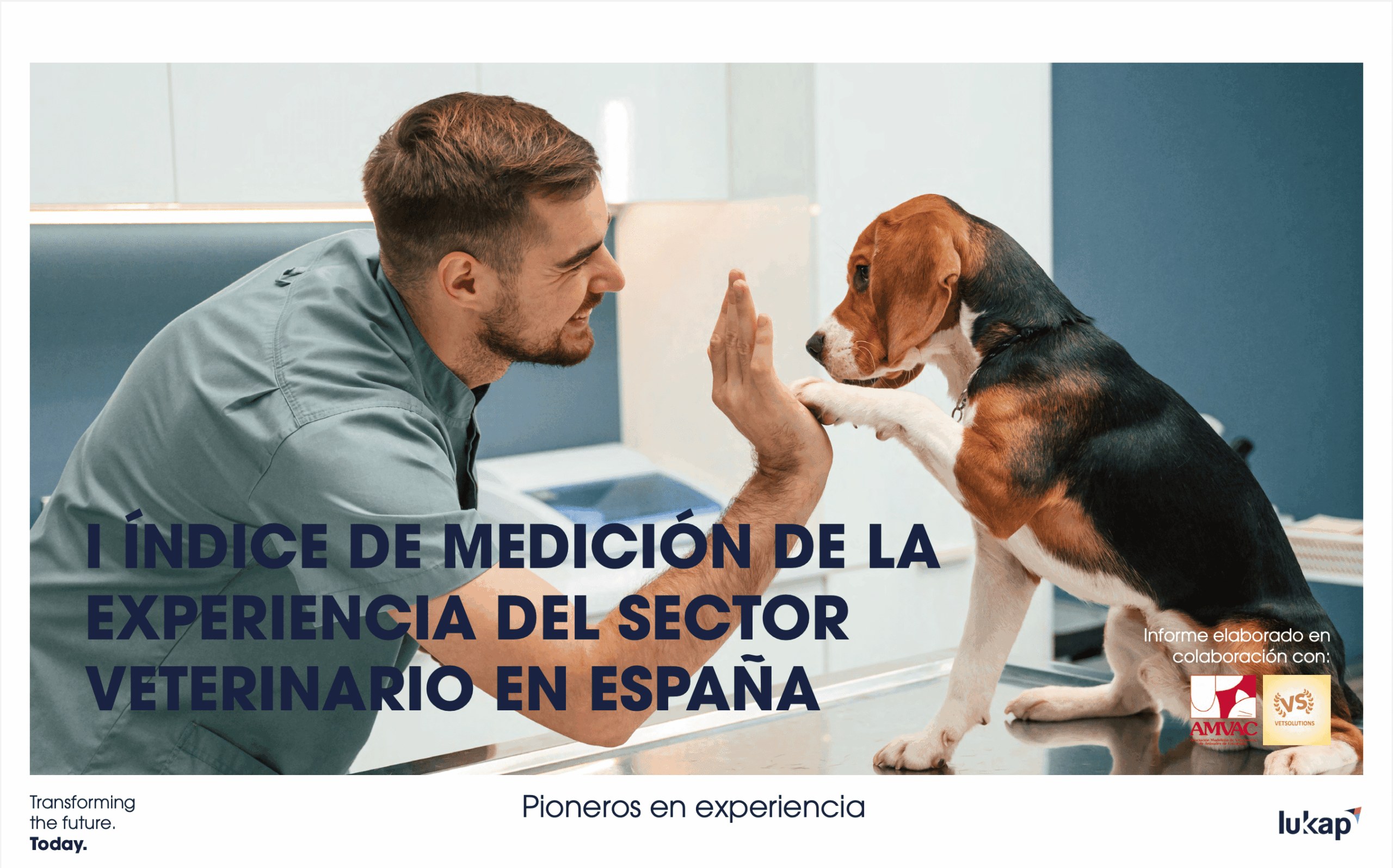 experiencia-del-veterinario